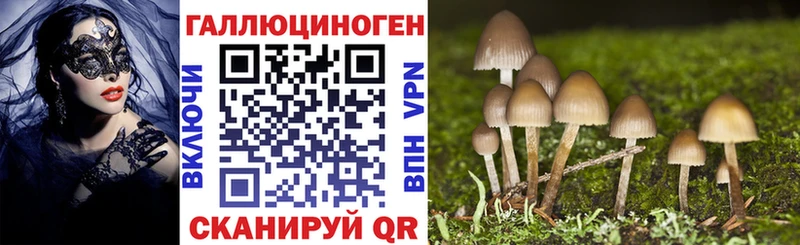 где купить наркотик  Нефтегорск  Галлюциногенные грибы Cubensis 